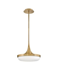 Medium LED Convertible Pendant