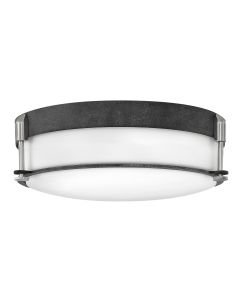 Large Flush Mount