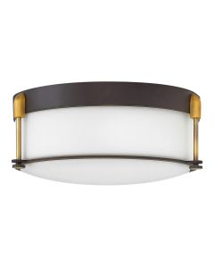 Large Flush Mount