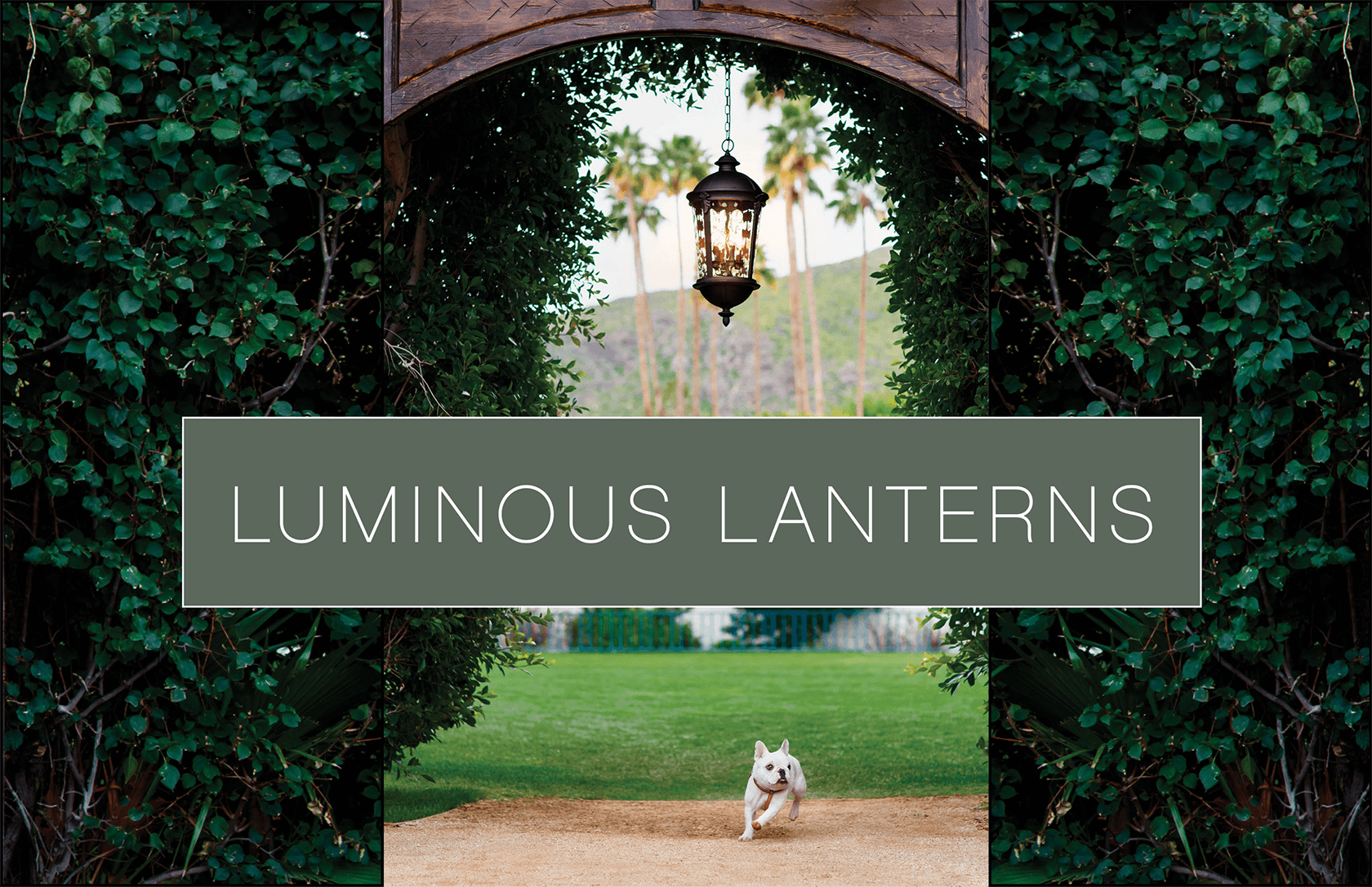 Luminous Lanterns